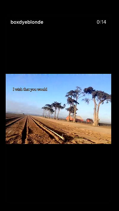 zommmbri zommmbri archive video