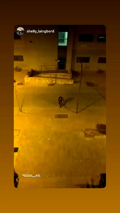 biton__adi biton__adi archive video