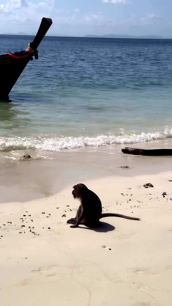 xeiyza archive video preview