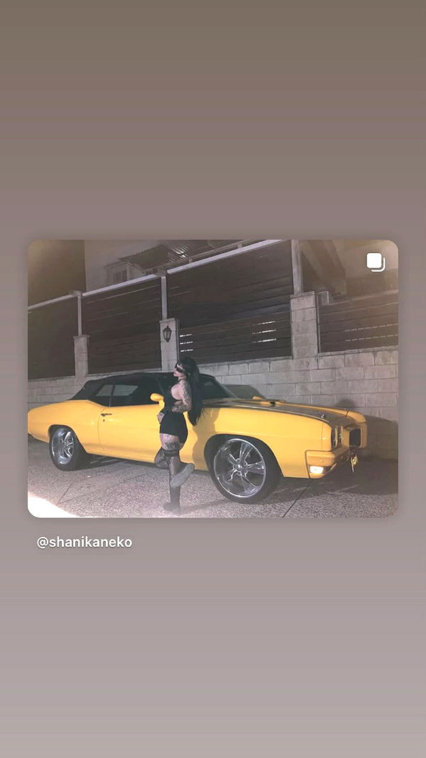 shanikaneko archive video preview