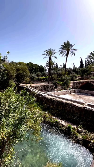 _femalien _femalien archive video