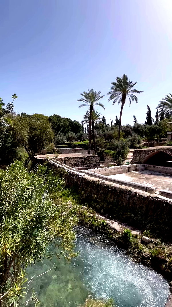 _femalien archive video preview