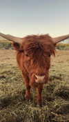 alexuhh_g Altpins Profile Picture