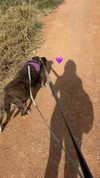 roni_ackerman Altpins Profile Picture