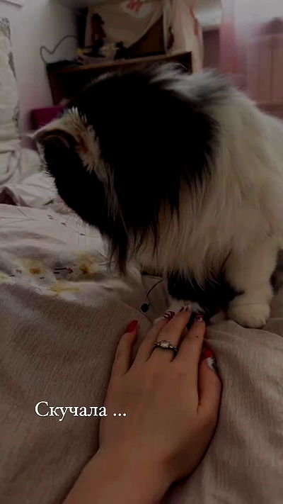 sun_bunky sun_bunky archive video