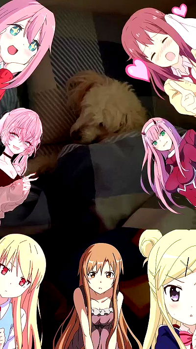 feelbetterinmysweater feelbetterinmysweater archive video