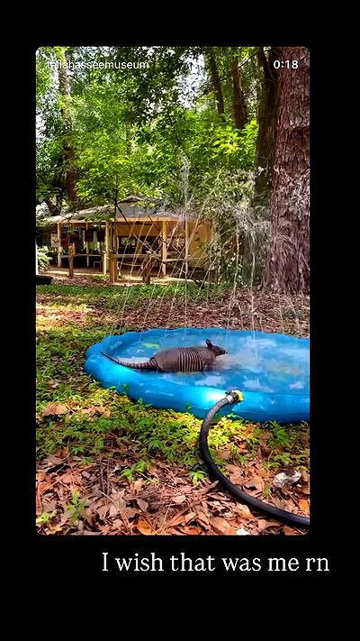 milkgore milkgore archive video