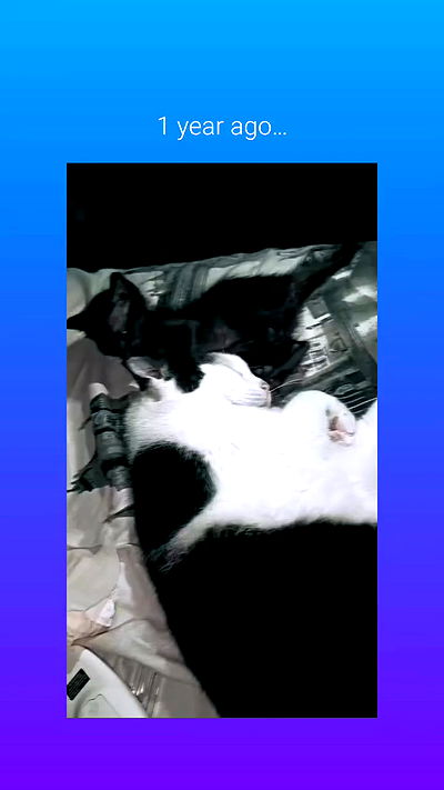 moonyyyya moonyyyya archive video