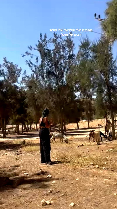 romy_ayalla_lavi romy_ayalla_lavi archive video