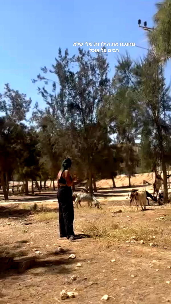 romy_ayalla_lavi archive video preview