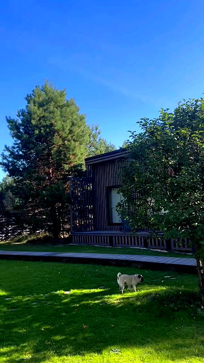 nyityam nyityam archive video