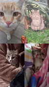 imeownaz Altpins Profile Picture