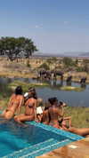 beyondthepinesmagazine Altpins Profile Picture