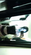 braainr0tt Altpins Profile Picture