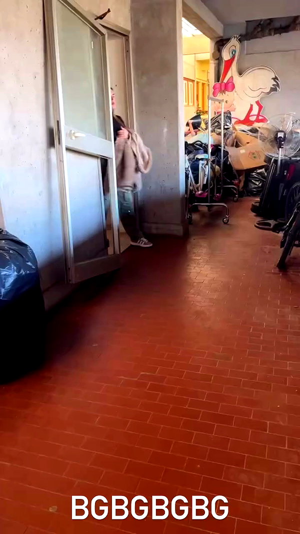 _asia_frattali_2.0_ archive video preview