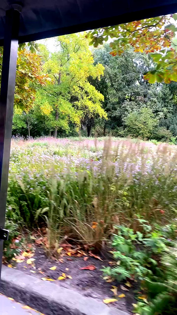 ayala.assaraf archive video preview