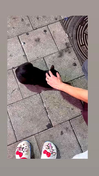 hellokittyangel666 hellokittyangel666 archive video