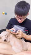 danchiii6403__ Altpins Profile Picture