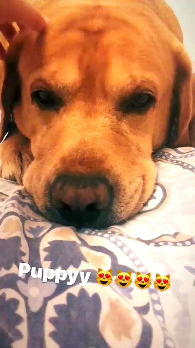 lissi77 lissi77 archive video