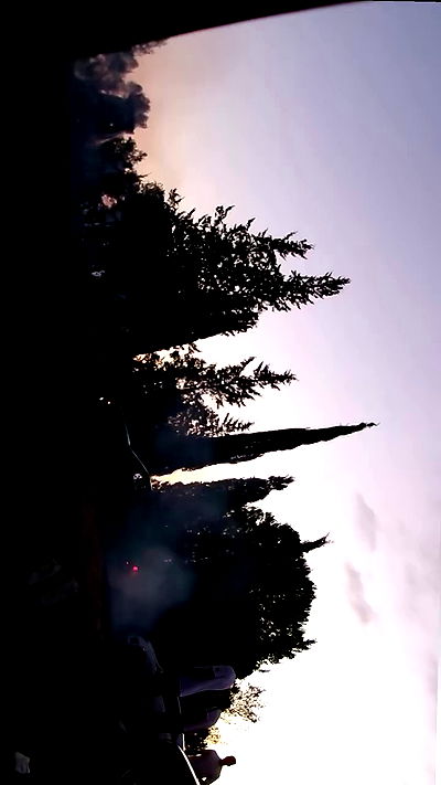 simp_for_cats_ simp_for_cats_ archive video