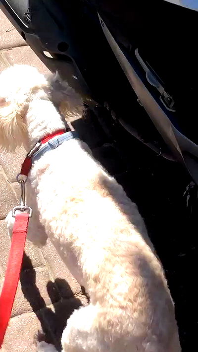 feelbetterinmysweater feelbetterinmysweater archive video