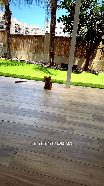 _lil_noa_ _lil_noa_ archive video