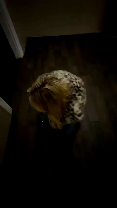 gwendolynceline gwendolynceline archive video