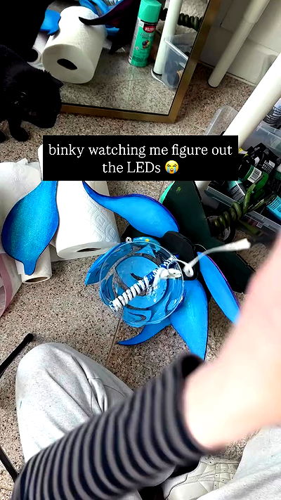 norafawn norafawn archive video