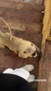 noa.c___ Altpins Profile Picture