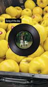 zz.eazoning Altpins Profile Picture