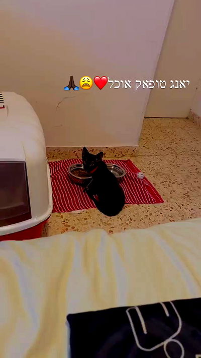 feelbetterinmysweater feelbetterinmysweater archive video