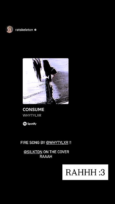 silkton silkton archive video