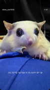 karin_orhov Altpins Profile Picture