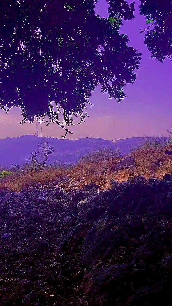 feelbetterinmysweater archive video preview