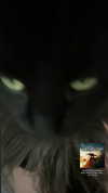 vampirec0wgirl Altpins Profile Picture