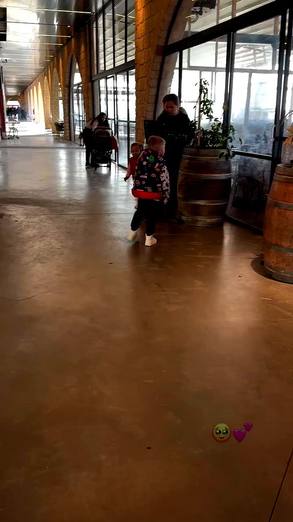 jaroslava_klavir archive video preview