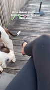 jade.schutte Altpins Profile Picture