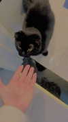 jessie_ng06 Altpins Profile Picture