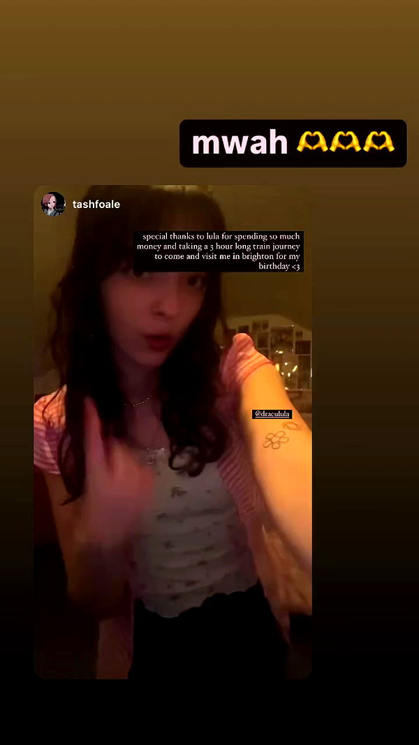 draculula archive video preview