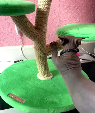 iluvmeww iluvmeww archive video