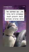 diana_rizz Altpins Profile Picture