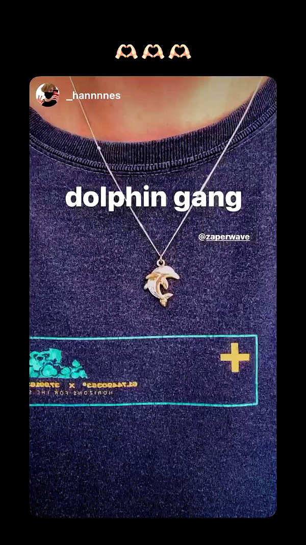 zaperwave archive video preview