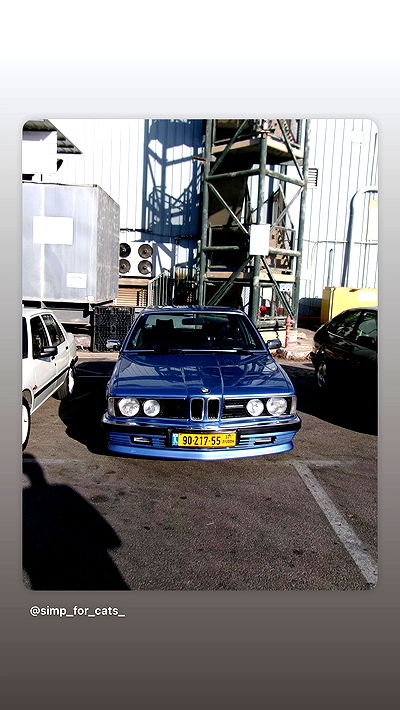 simp_for_cats_ simp_for_cats_ archive video