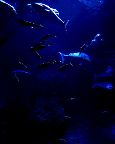 piper.jaylen piper.jaylen archive video