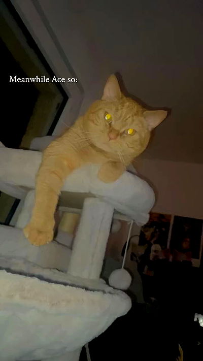 yoo.mon yoo.mon archive video