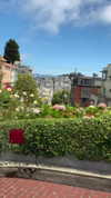 mel_cerillo Altpins Profile Picture