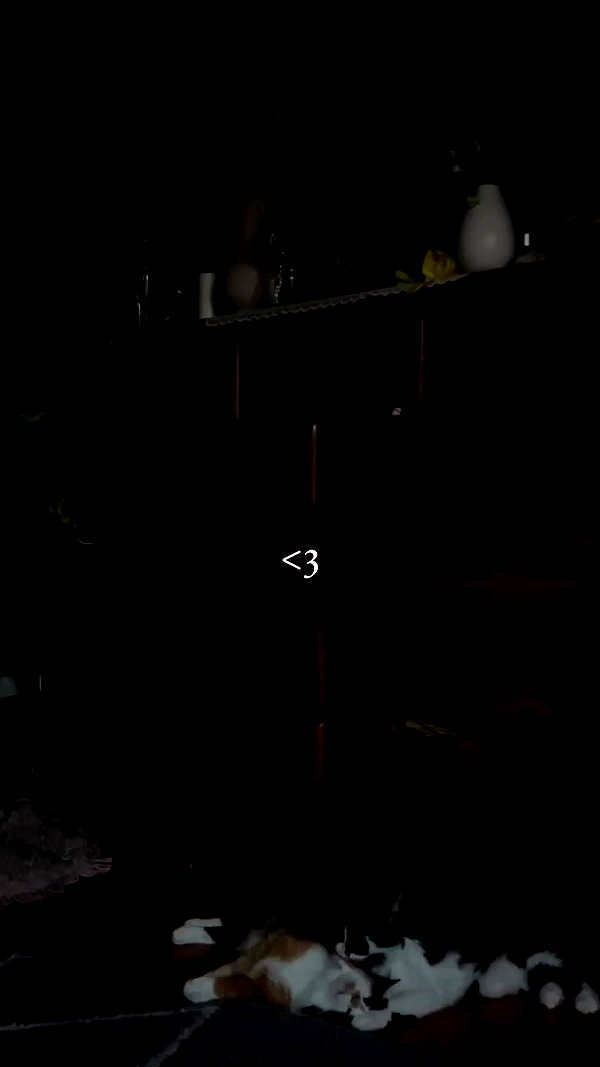 estr3iia archive video preview