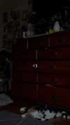estr3iia Altpins Profile Picture
