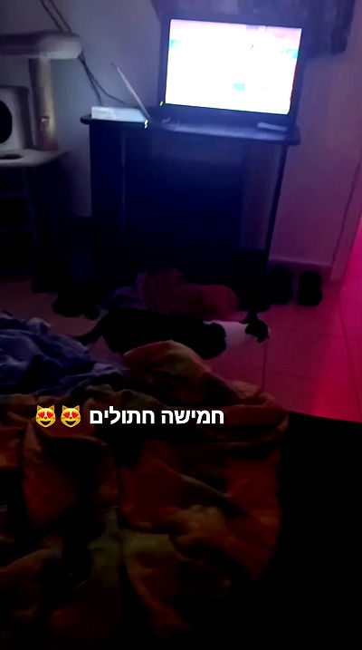 moonyyyya moonyyyya archive video