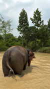 emelyeender Altpins Profile Picture